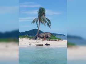 A family enjoys a sunny day on a secluded beach, with a picturesque palm tree and stunning island backdrop — perfect for memorable island adventures.