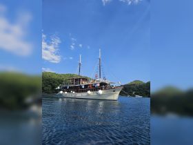 A beautiful yacht glides through calm waters, surrounded by lush greenery and a clear blue sky, perfect for scenic cruises and relaxation.