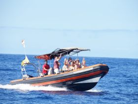 A lively group enjoys a day on the water, waving from their boat in the open ocean — perfect for adventure and fun under the sun.