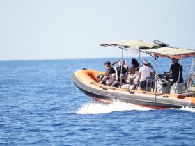 A lively group enjoys a thrilling ride on a boat, showcasing the excitement of on-water adventures.