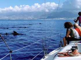 Charter Image