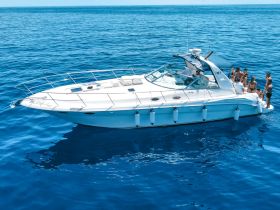 A lively group enjoys a day on the water aboard the yacht 'Gringo,' showcasing fun and camaraderie in the beautiful blue ocean.