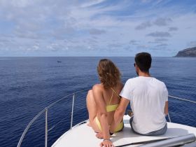 A couple enjoys a serene moment on the bow of their boat, watching dolphins in the distance against a stunning ocean backdrop — a perfect scene for romantic getaways or wildlife encounters.