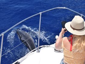 A woman captures a stunning moment as a dolphin swims alongside the boat, showcasing the beauty of marine wildlife encounters.