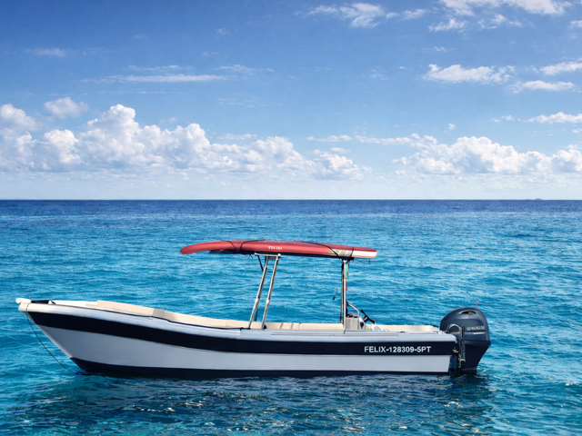 Listing image 1143999
