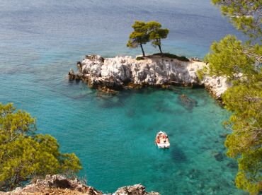 Coastline Private Tours