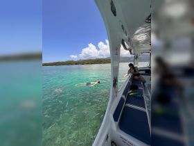 A snorkeler enjoys the vibrant underwater life in clear waters, surrounded by schools of fish — a perfect highlight of a tropical adventure.