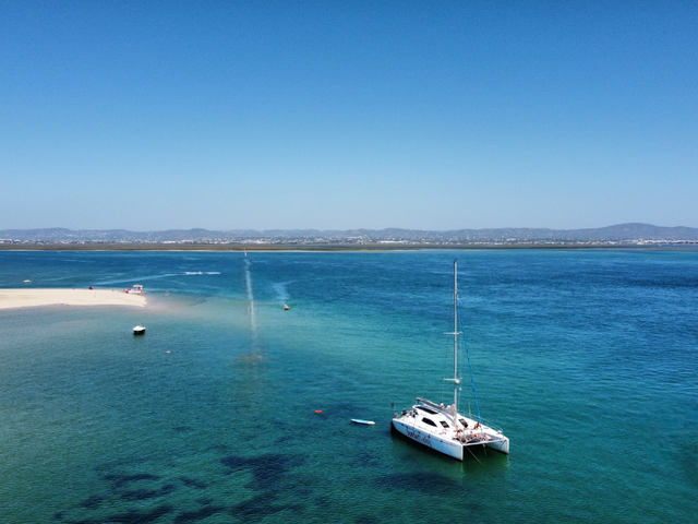 Listing image 1109882