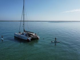 A lively scene featuring guests paddleboarding and swimming near a catamaran, showcasing the fun and adventure of a day on the water.