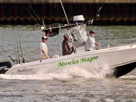 Charter Image
