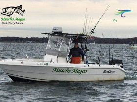 Charter Image