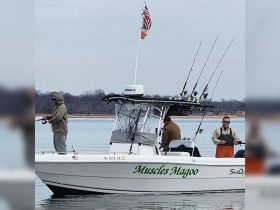 Charter Image