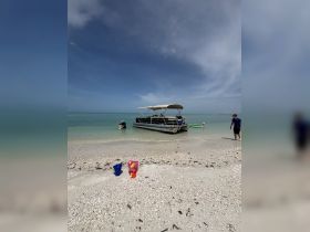 A family enjoys a sandbar stop with a pontoon boat, featuring swimming and beach activities in a picturesque setting.