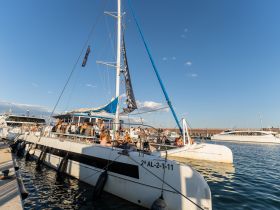 A lively group enjoys a celebration aboard a catamaran docked at the marina, perfect for social gatherings and parties on the water.