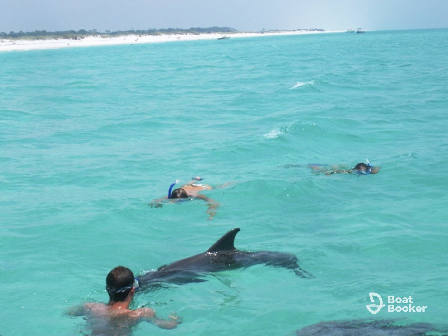 Shaded dolphin snorkel & SUP top shelf drinks