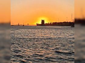 A stunning sunset over the harbor, with silhouettes of boats and landmarks creating a picturesque scene — perfect for evening cruises.