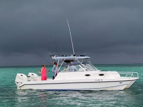 A group enjoys a fishing adventure on a boat in clear turquoise waters, showcasing the excitement of a day out on the ocean.