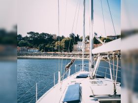 A person enjoys the thrill of sailing on a beautiful day, with picturesque coastal scenery in the background — a perfect moment for adventure on the water.
