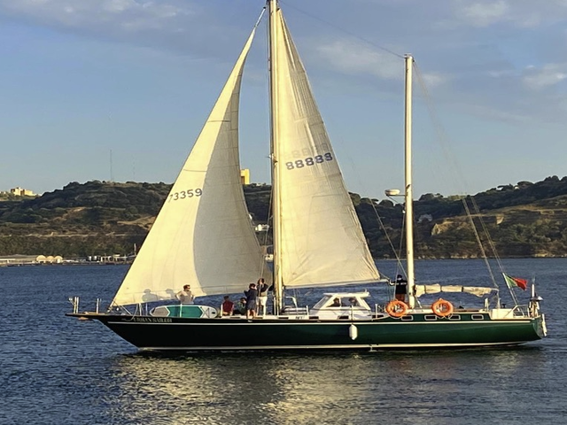 Listing image 1111409