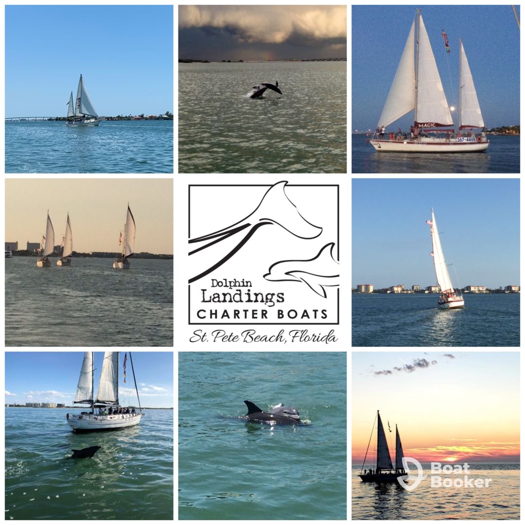 Dolphin Landings Charter Boat – Fantasea