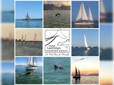 Dolphin Landings Charter Boat – Fantasea