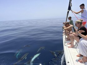 Charter Image
