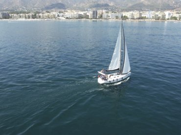 Dolphins Marbella