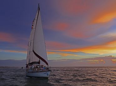 Dolphin Landings Charter Sailing Yacht –Magic