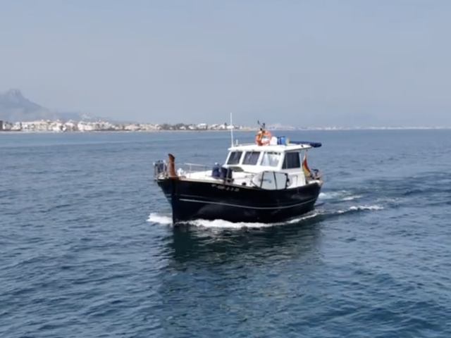 Listing image 1111328