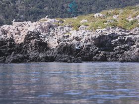A serene view of seagulls perched on rocky cliffs, showcasing the natural beauty of coastal wildlife.