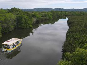 A scenic view of a boat navigating through a tranquil mangrove river, showcasing the beauty of nature and adventure on the water.