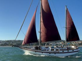 A beautiful sailboat with maroon sails glides through the water, showcasing its elegant design and perfect for sailing adventures.