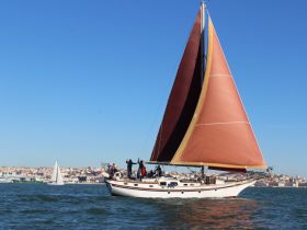 A beautiful sailing vessel with vibrant sails navigates the waters, showcasing a lively atmosphere with guests enjoying the experience against a scenic backdrop.