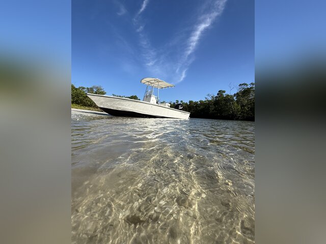Listing image 1111930