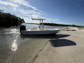 A sleek Cobia boat rests on the sandy shore, showcasing its design against a backdrop of sparkling water and lush greenery — perfect for fishing or leisure outings.