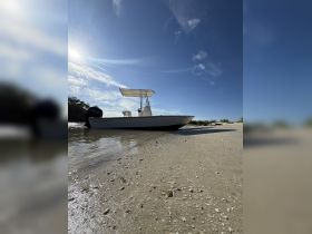 A sleek Cobia boat rests on the sandy shore under a clear blue sky, showcasing its elegant design and perfect for a day of adventure on the water.