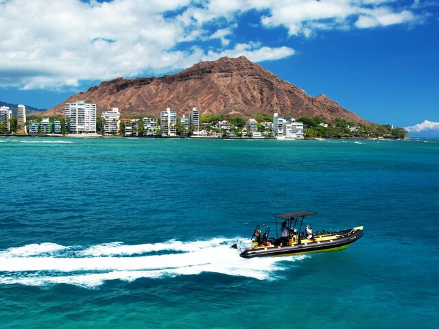 Listing image 1131873