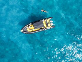 An aerial view captures a swimmer enjoying the crystal-clear waters beside a sleek boat, showcasing the perfect blend of adventure and relaxation on the water.