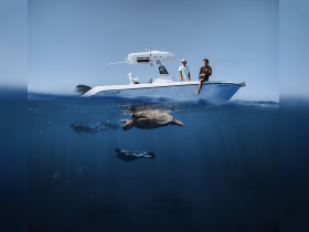A stunning underwater scene featuring a turtle swimming alongside snorkelers beneath a boat, showcasing the beauty of marine wildlife encounters.