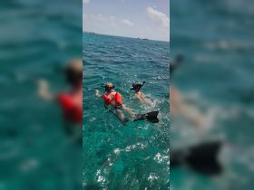 Two snorkelers enjoy exploring the vibrant underwater world in crystal-clear waters, making for an unforgettable aquatic adventure.