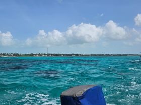 A stunning view of turquoise waters and a picturesque coastline, perfect for showcasing the beauty of a boating adventure.