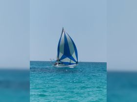 A vibrant sailboat with a striking blue and white sail glides through clear turquoise waters, showcasing the beauty of sailing adventures.