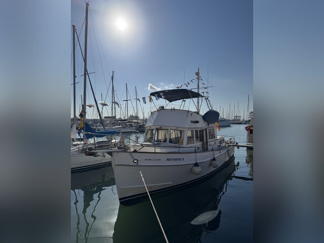 Listing image 1112172