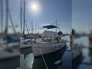 Nostromo Charter Mallorca