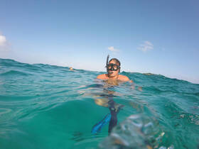 A snorkeler enjoys the vibrant underwater world in crystal-clear waters, perfect for marine exploration and adventure.