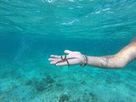 A close-up shot of a person holding a starfish underwater, showcasing the beauty of marine life and the joy of snorkeling adventures.