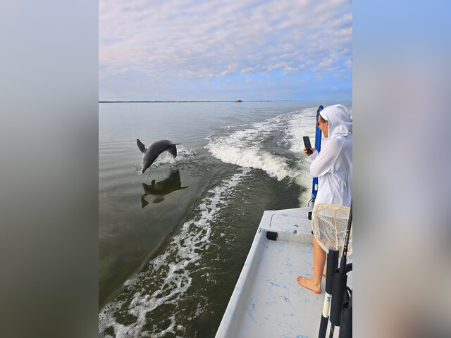 Listing image 1112300