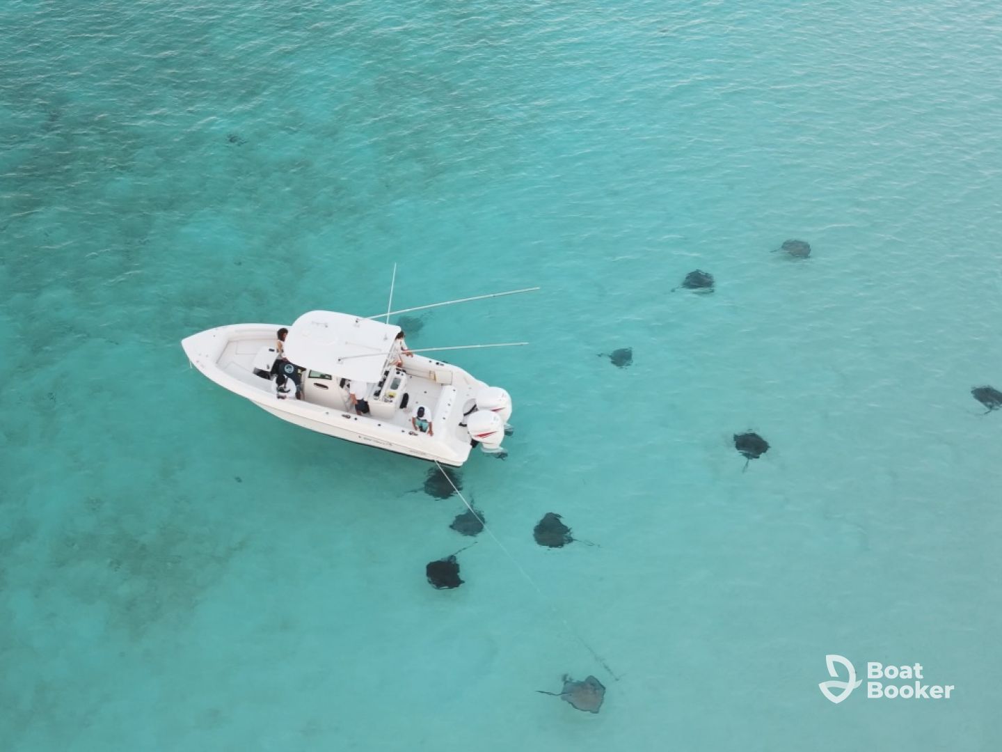 Cayman BioGlow Adventures