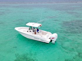 A fisherman navigates a sleek boat through crystal-clear waters, perfect for a day of fishing adventures in tropical settings.