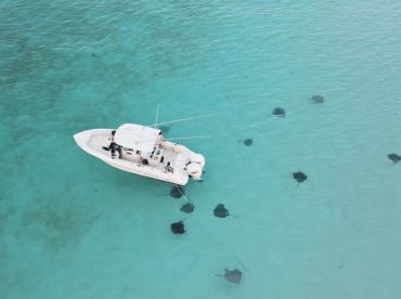 Cayman BioGlow Adventures